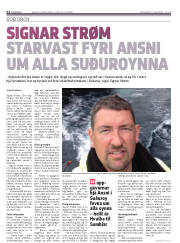 Síða 32