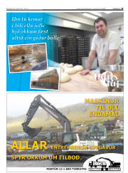 Síða 39