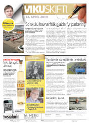 Síða 2