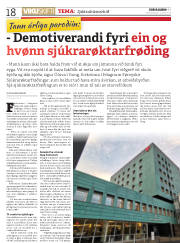 Síða 18