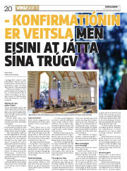 Síða 20