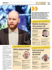 Síða 21