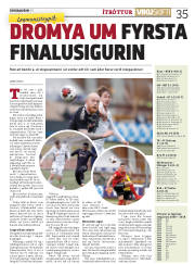 Síða 35