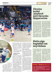 Síða 37
