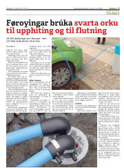 Síða 3