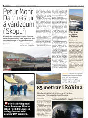 Síða 8