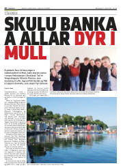 Síða 10