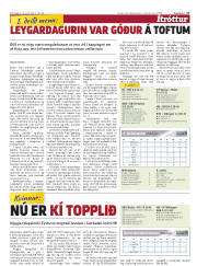 Síða 17