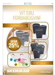 Síða 39