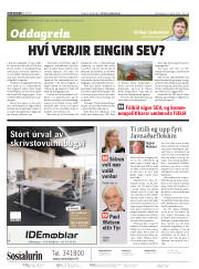 Síða 2