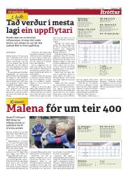 Síða 33