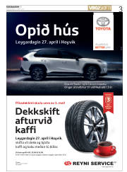 Síða 3
