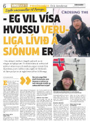 Síða 6