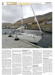 Síða 8