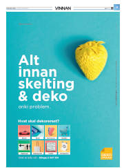 Síða 11