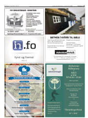 Síða 17
