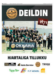 Síða 34