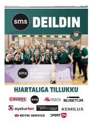 Síða 35