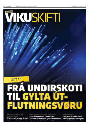 Síða 36