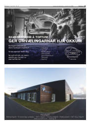 Síða 41
