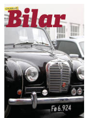 Síða 49