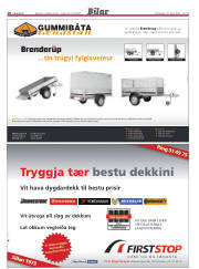 Síða 58