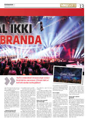 Síða 13