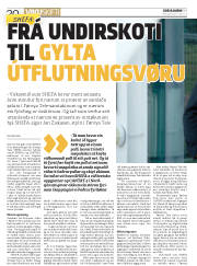 Síða 20