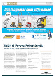 Síða 32