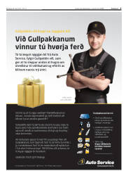 Síða 5