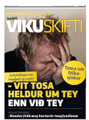 Síða 13