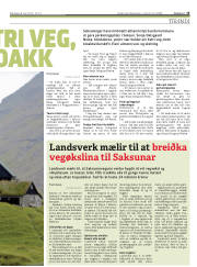 Síða 15