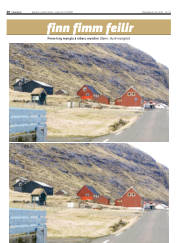 Síða 20