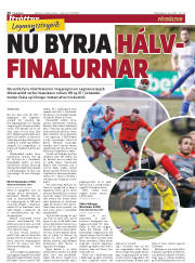 Síða 30