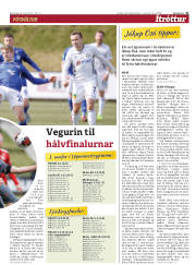 Síða 31