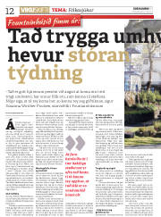 Síða 12
