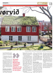 Síða 13