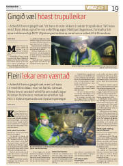 Síða 19