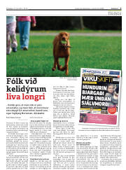 Síða 3