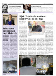 Síða 6