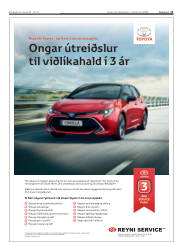Síða 11