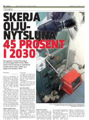 Síða 12