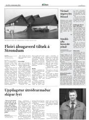 Síða 7