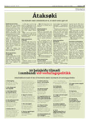 Síða 13