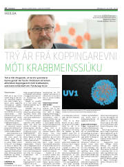 Síða 14