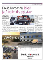 Síða 17