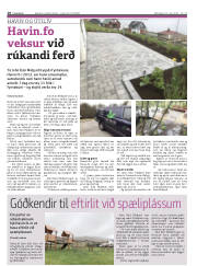 Síða 18