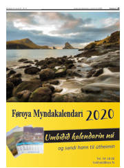 Síða 29