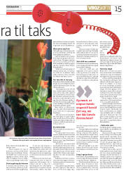 Síða 15