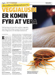 Síða 20